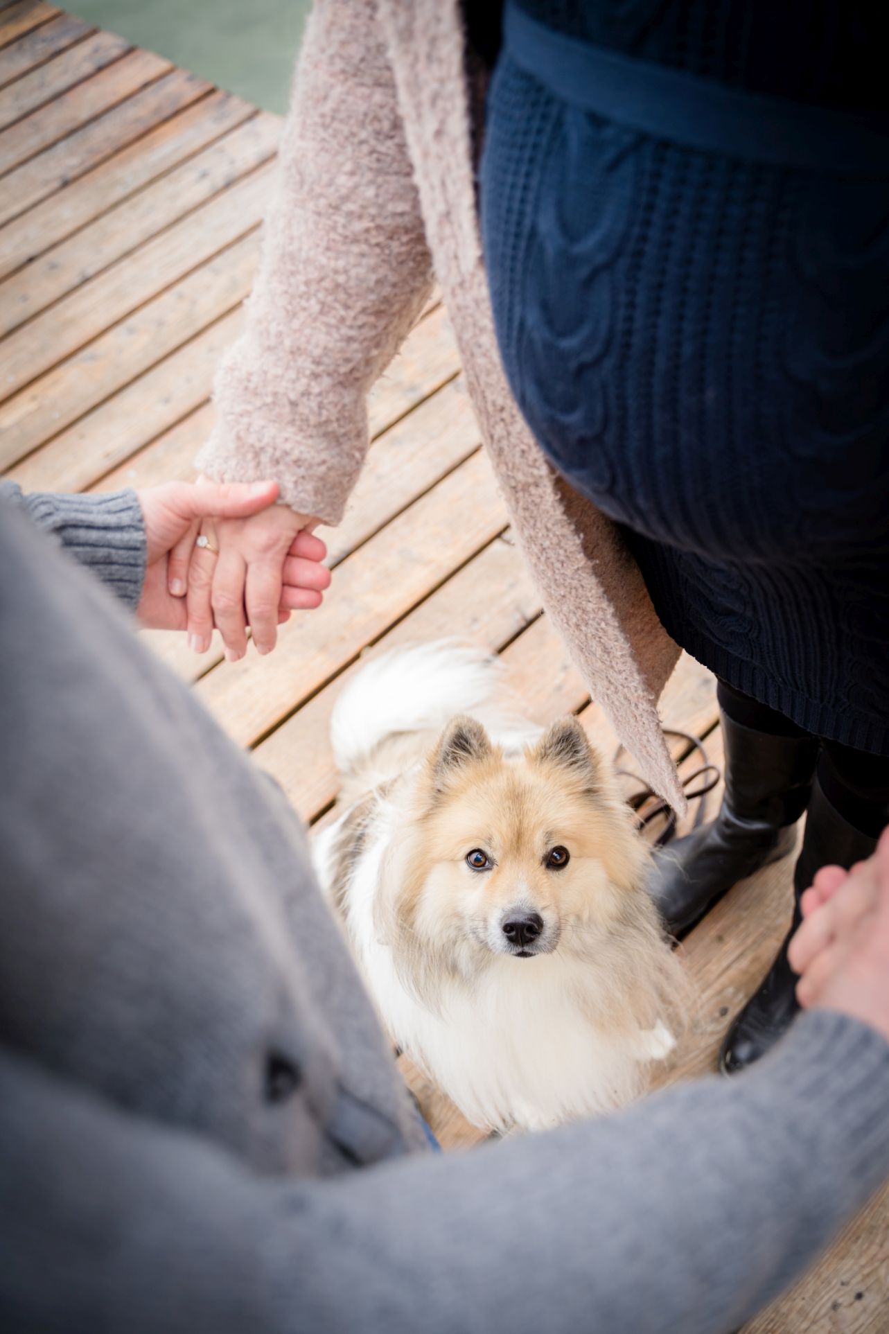 Babybauchshooting am See mit Hund Ulm Neu-Ulm